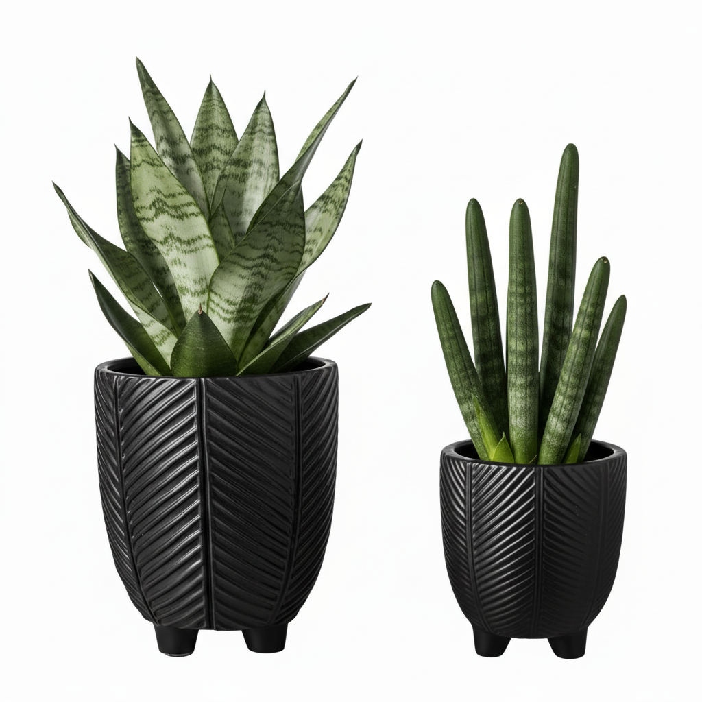 Kavrine Ceramic Round Pot with Embossed Chevron Stripe Design and Stand (Set of 2)