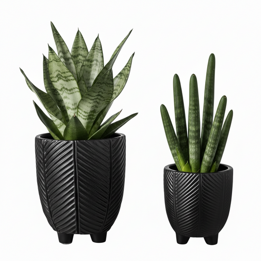 Kavrine Ceramic Round Pot with Embossed Chevron Stripe Design and Stand (Set of 2)