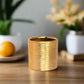 Gweyz Brushed Round Mini Vase in Gold