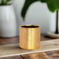 Gweyz Brushed Round Mini Vase in Gold