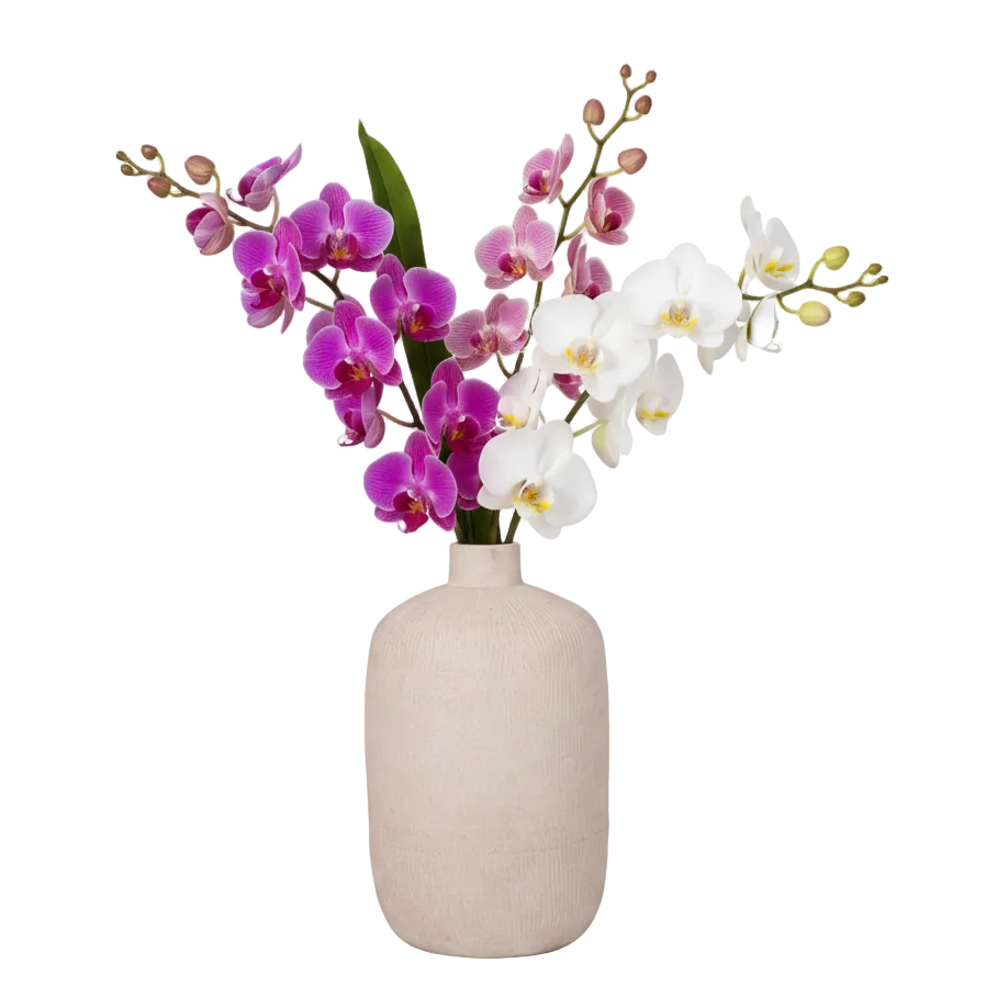Vena Antique Style Ceramic Vase