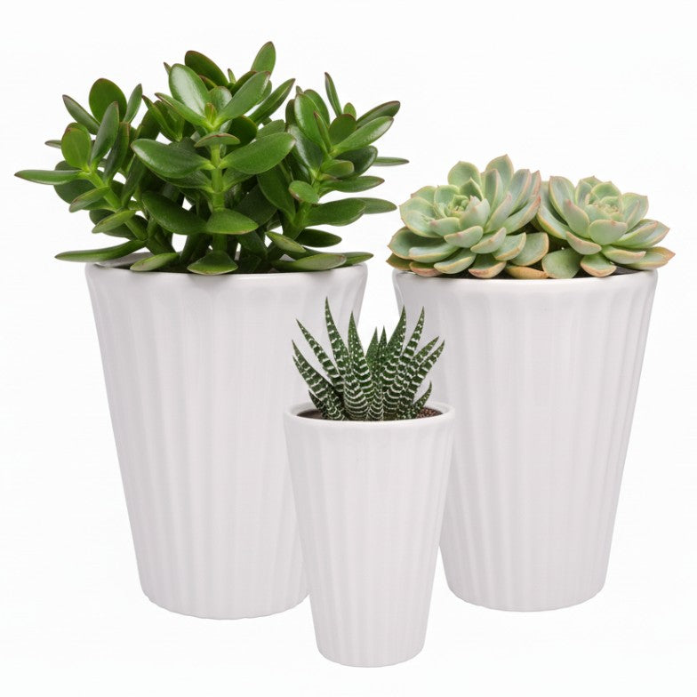 Ronja Fluted Tapered Ceramic Pot (Set of 3)