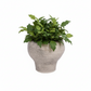 Grevelle Rounded Ceramic Vase