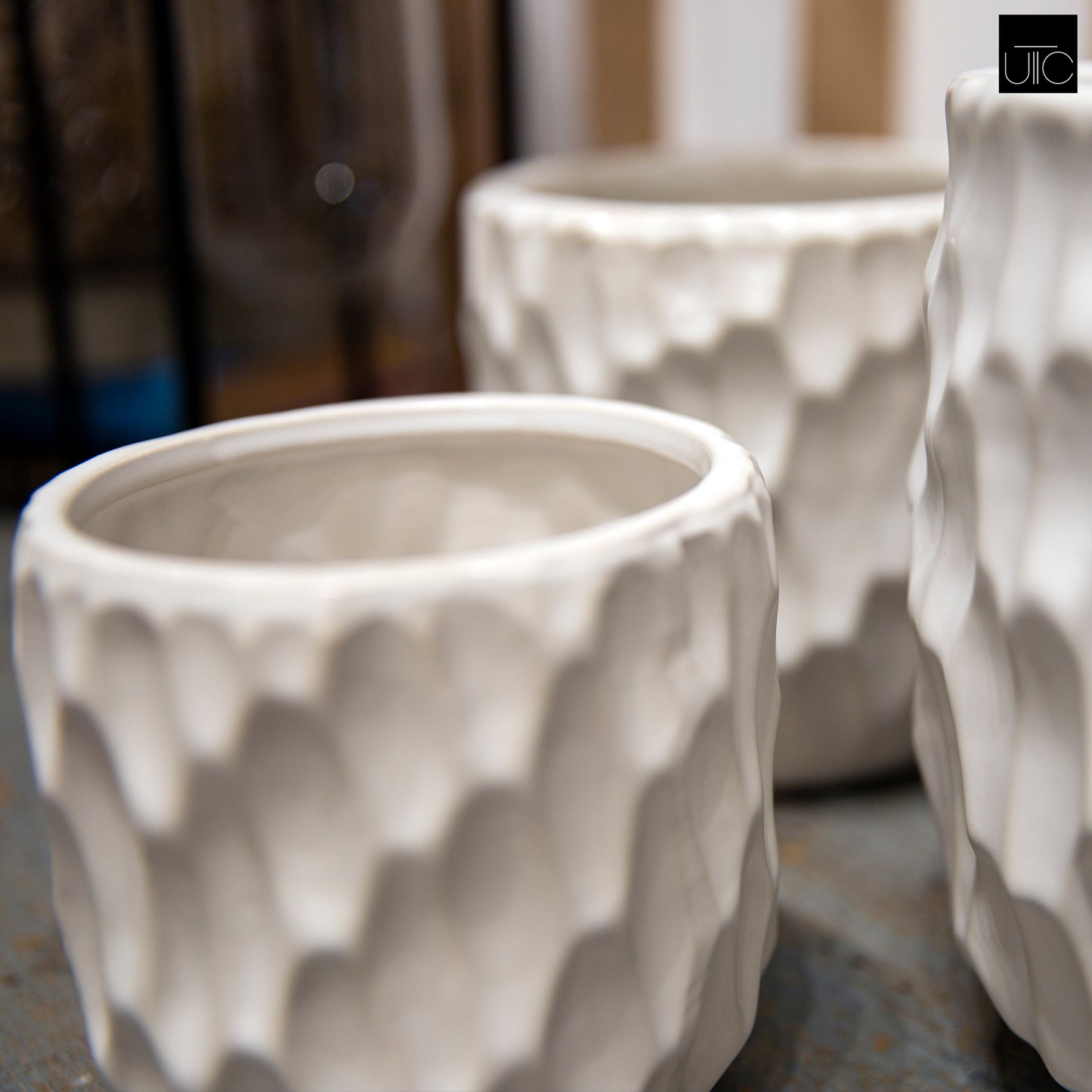 Vyne Ceramic Pot Set (Set of 3)