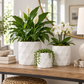 Dagen Diamond Embossed Ceramic Pot Set (Set of 3)