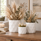Dagen Diamond Embossed Ceramic Pot Set (Set of 3)