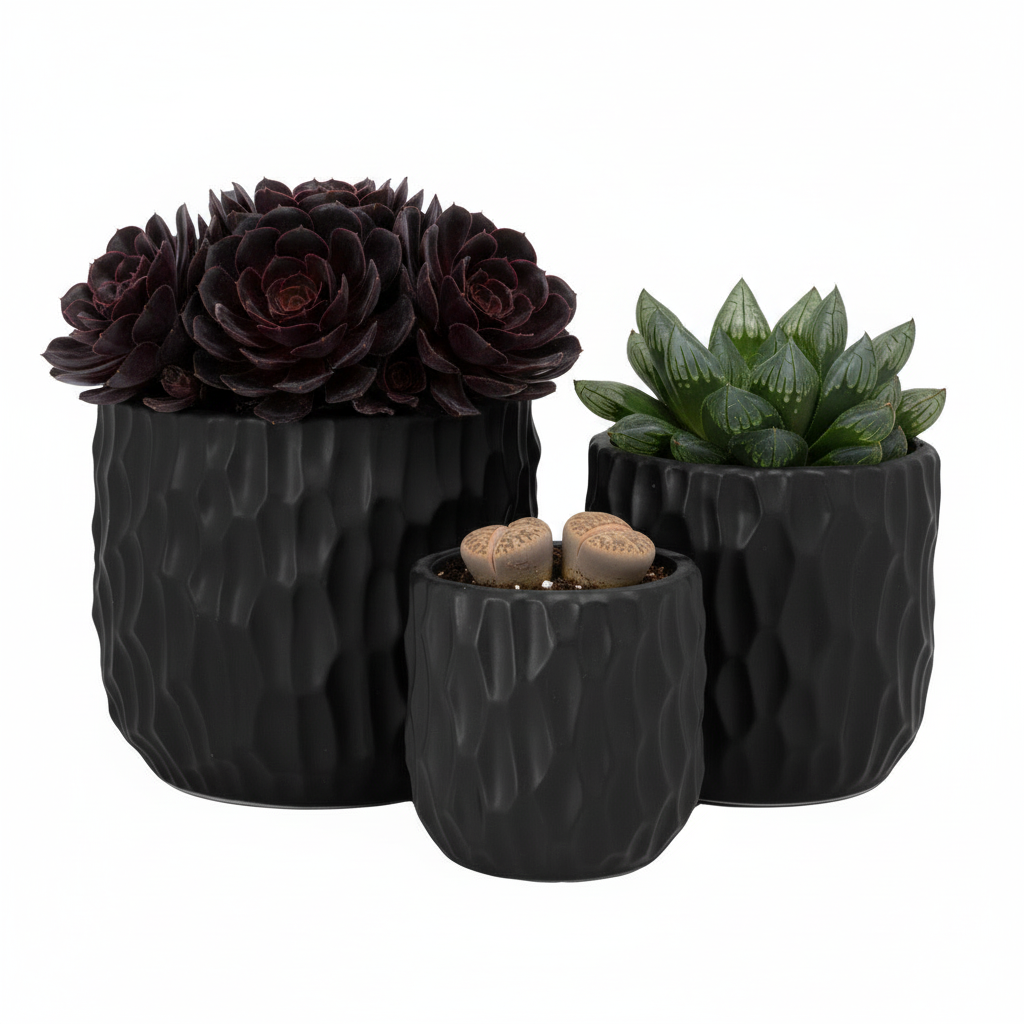 Vyne Ceramic Pot Set (Set of 3)