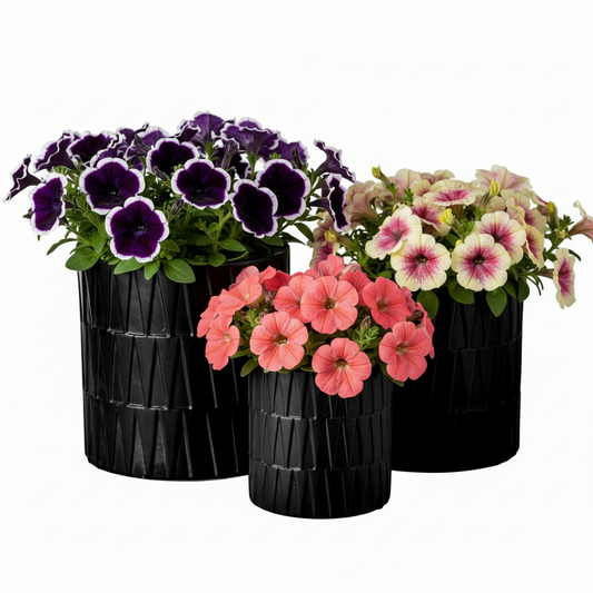 Avelora Embossed Ceramic Pot Set