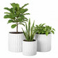 Avelora Embossed Ceramic Pot Set