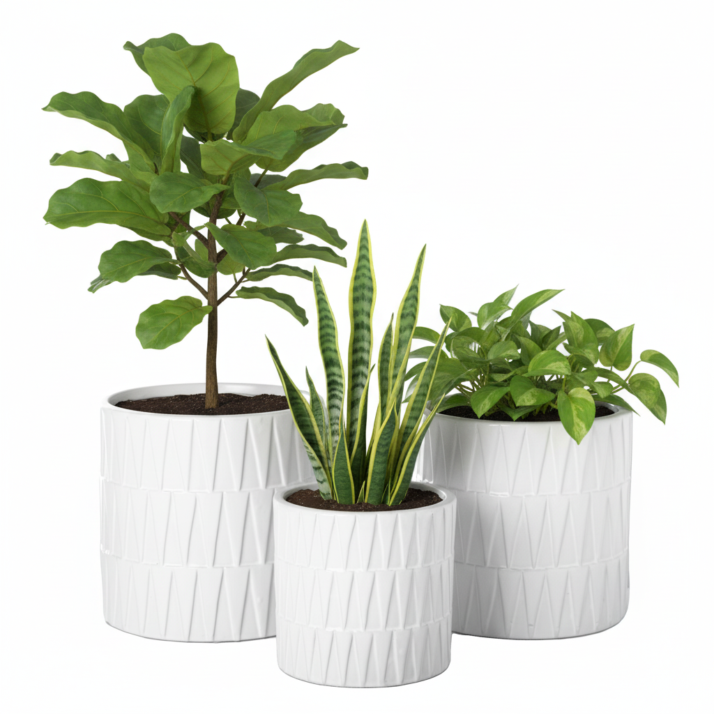 Avelora Embossed Ceramic Pot Set
