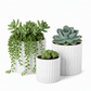 Avelora Embossed Ceramic Pot Set