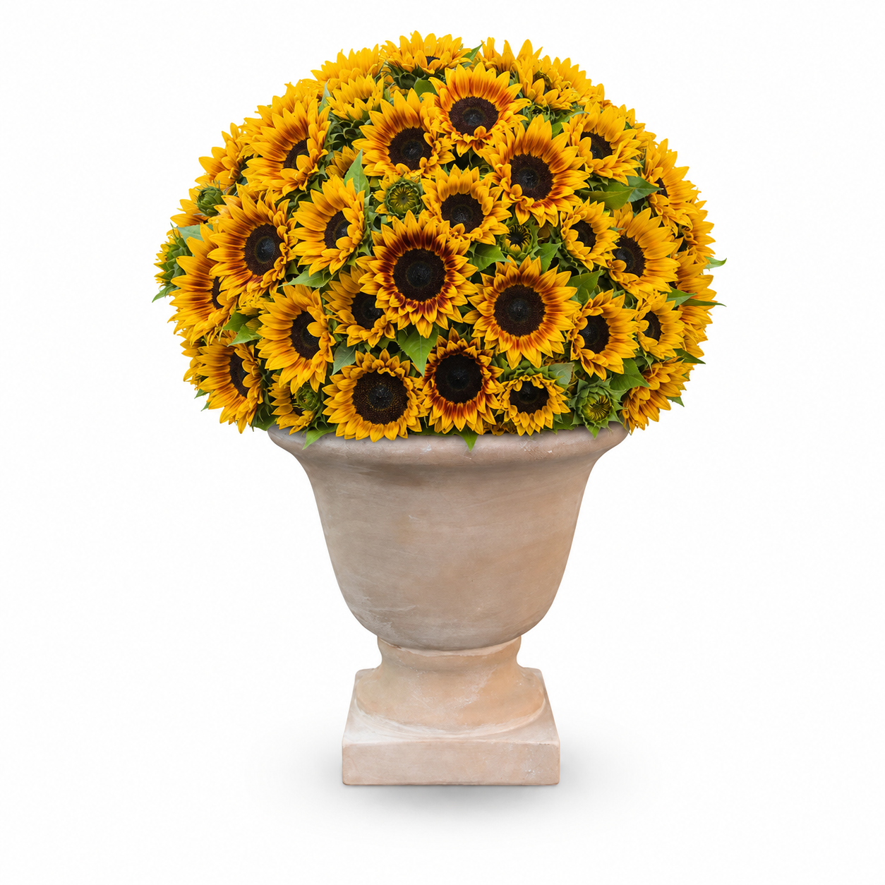 Talon Round Cement Pot
