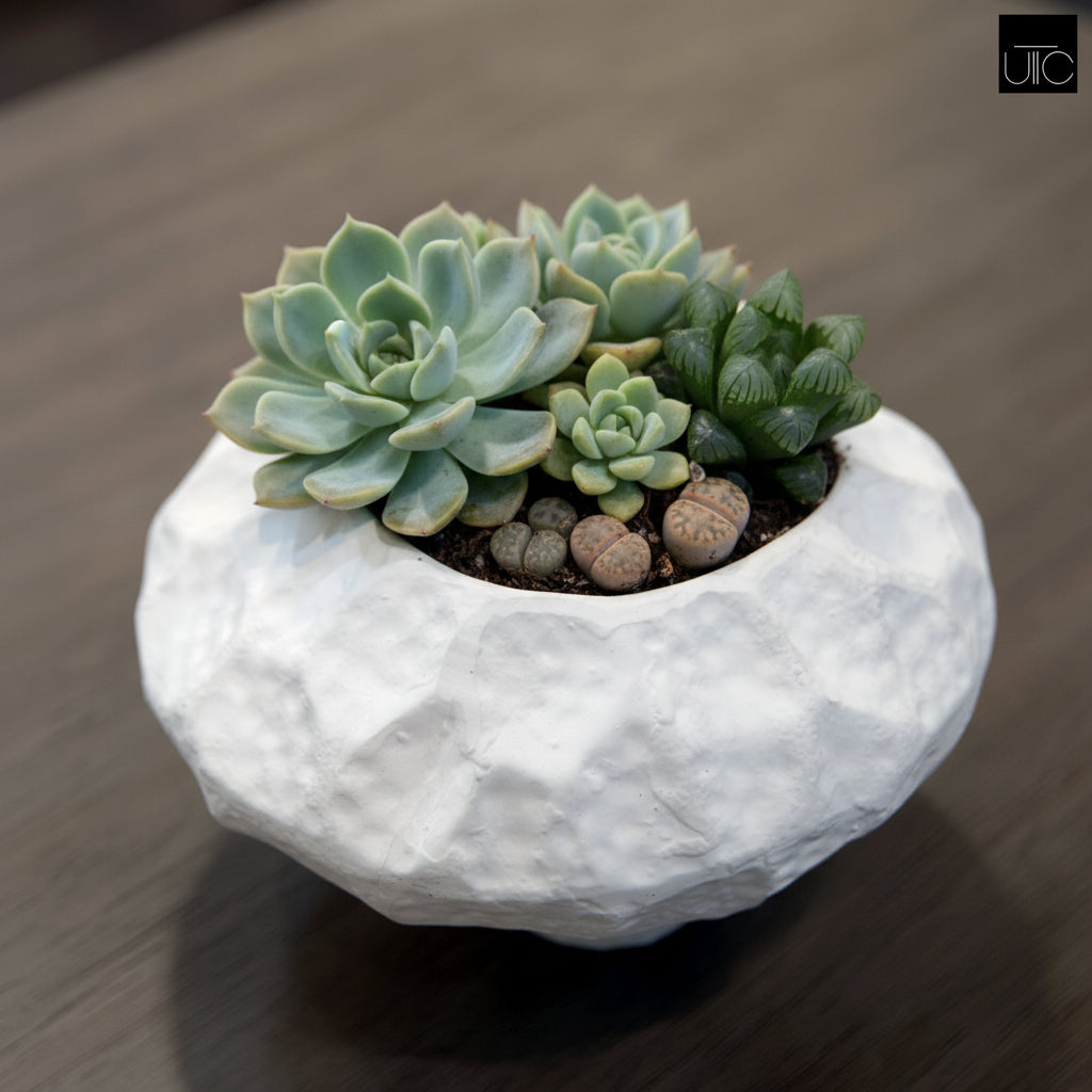 Lana Faceted Ovoid Cement Vase