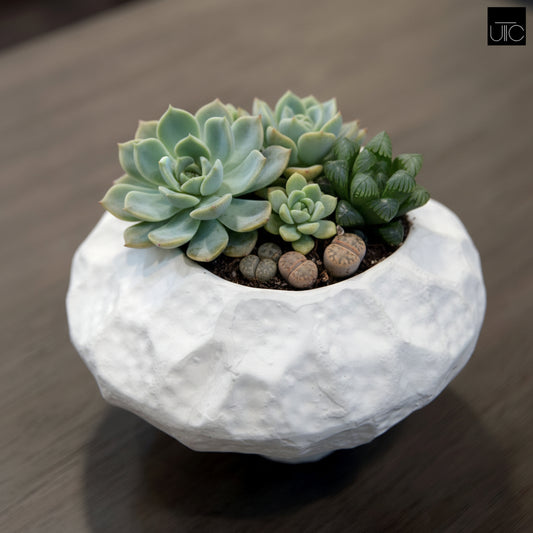 Lana Faceted Ovoid Cement Vase