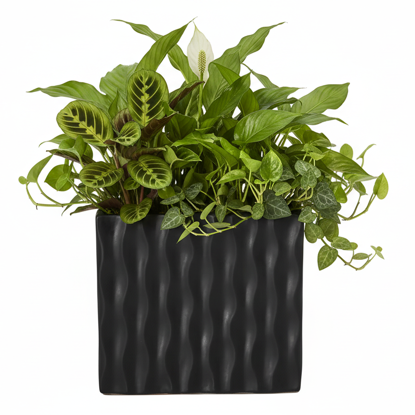 Wynn Geometric Ceramic Vase