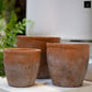 Vervain Wide Ceramic Flower Pots (Set of 3)