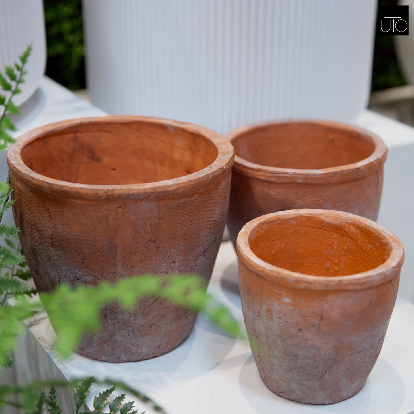 Vervain Wide Ceramic Flower Pots (Set of 3)