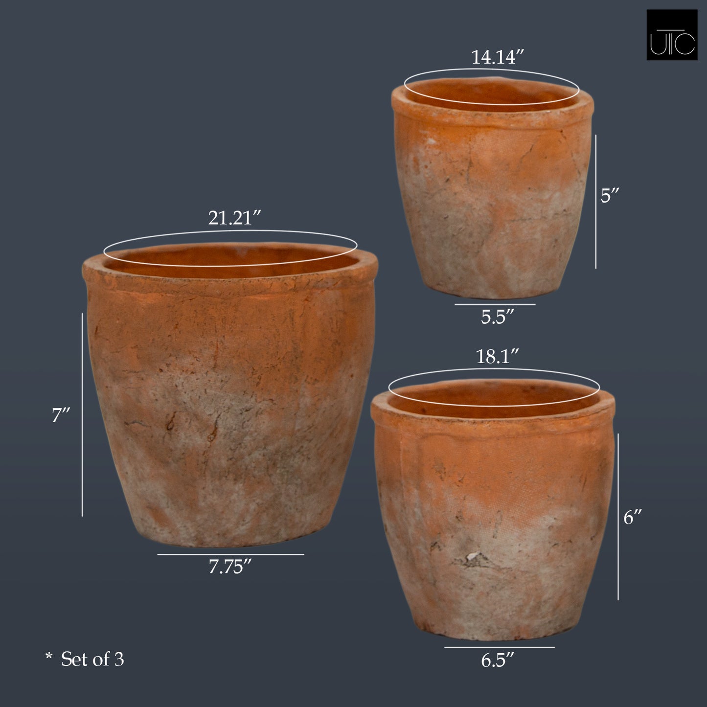 Vervain Wide Ceramic Flower Pots (Set of 3)
