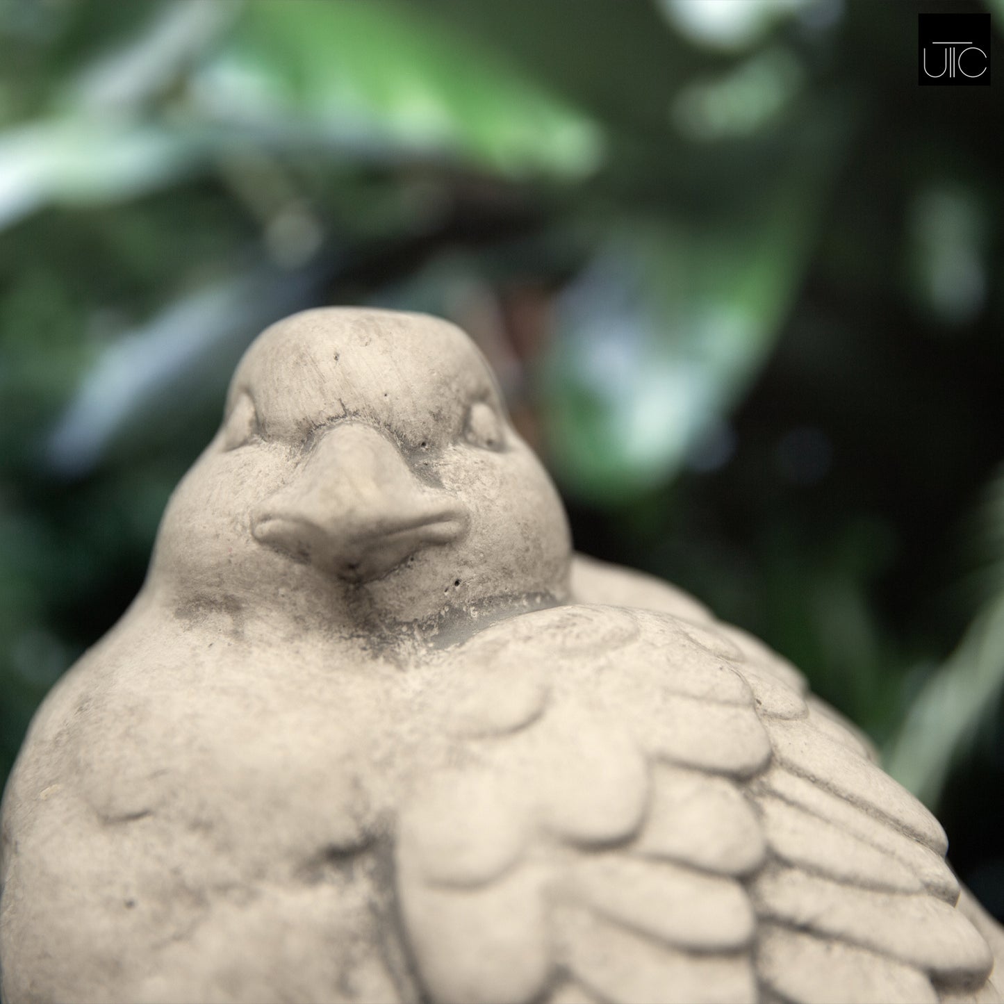 Lorne Cement Sitting Bird Figurine