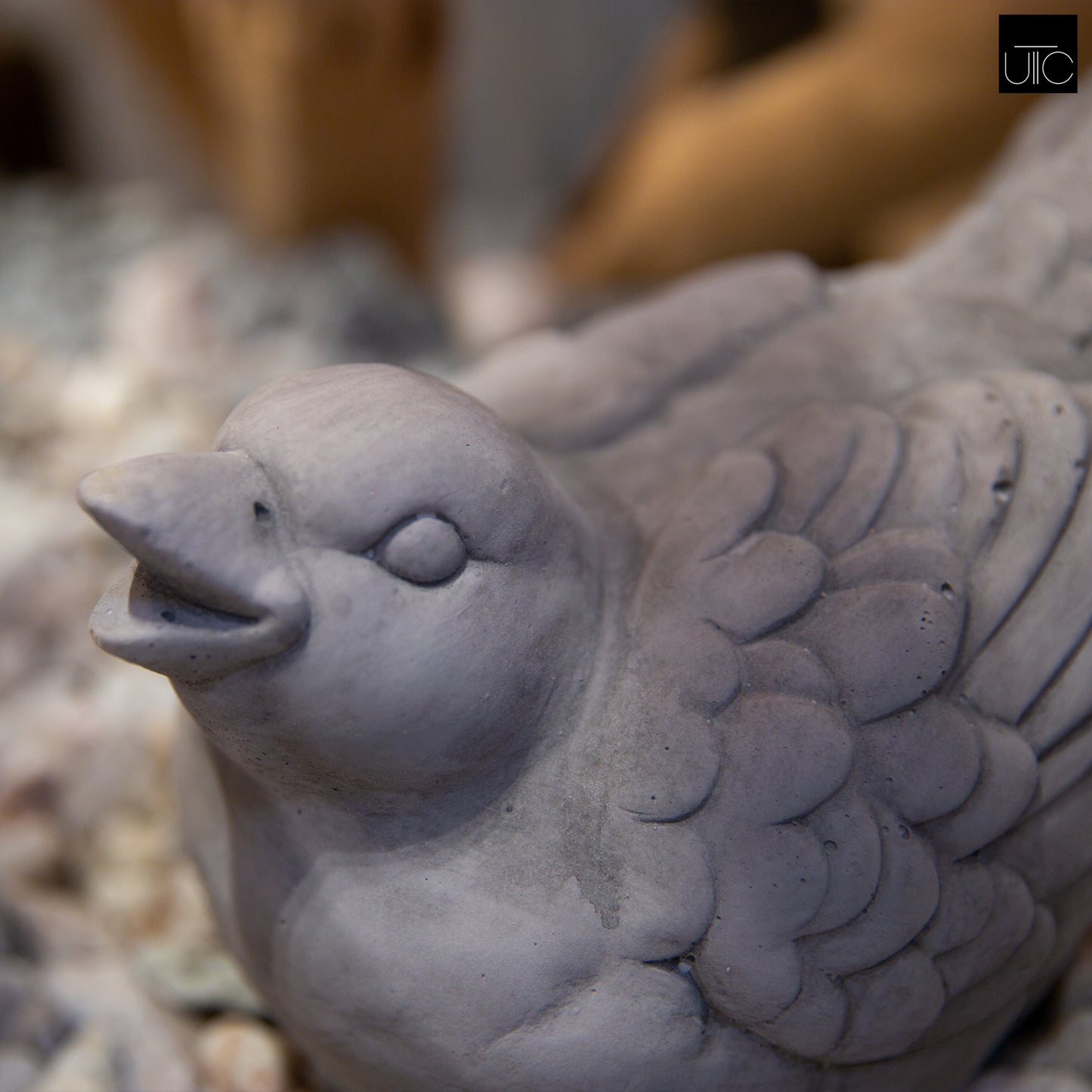 Avenel Upward Gaze Bird Figurine