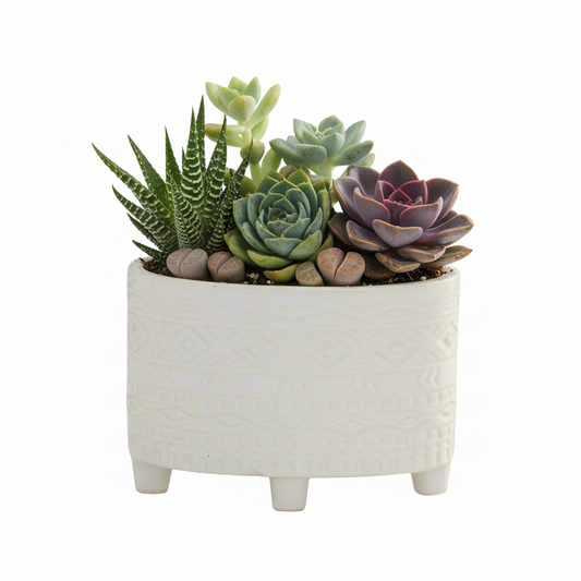 Naya Ceramic Oval Tribal Pot with Stand