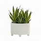 Naya Ceramic Oval Tribal Pot with Stand