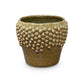 Carm Raised Bump Ceramic Pot