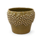 Carm Raised Bump Ceramic Pot