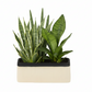 Bravine Rectangular Cement Pot