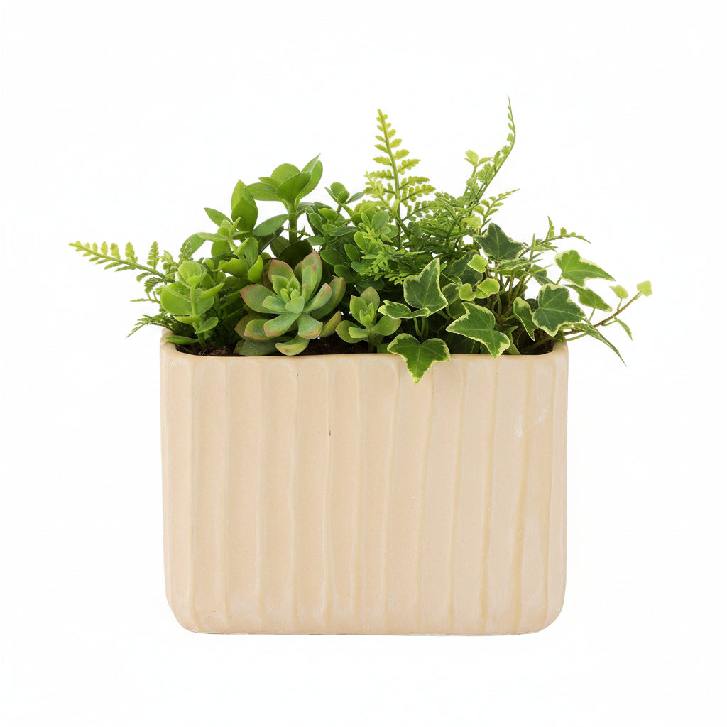 Bridget Cement Tall Rectangular Pot