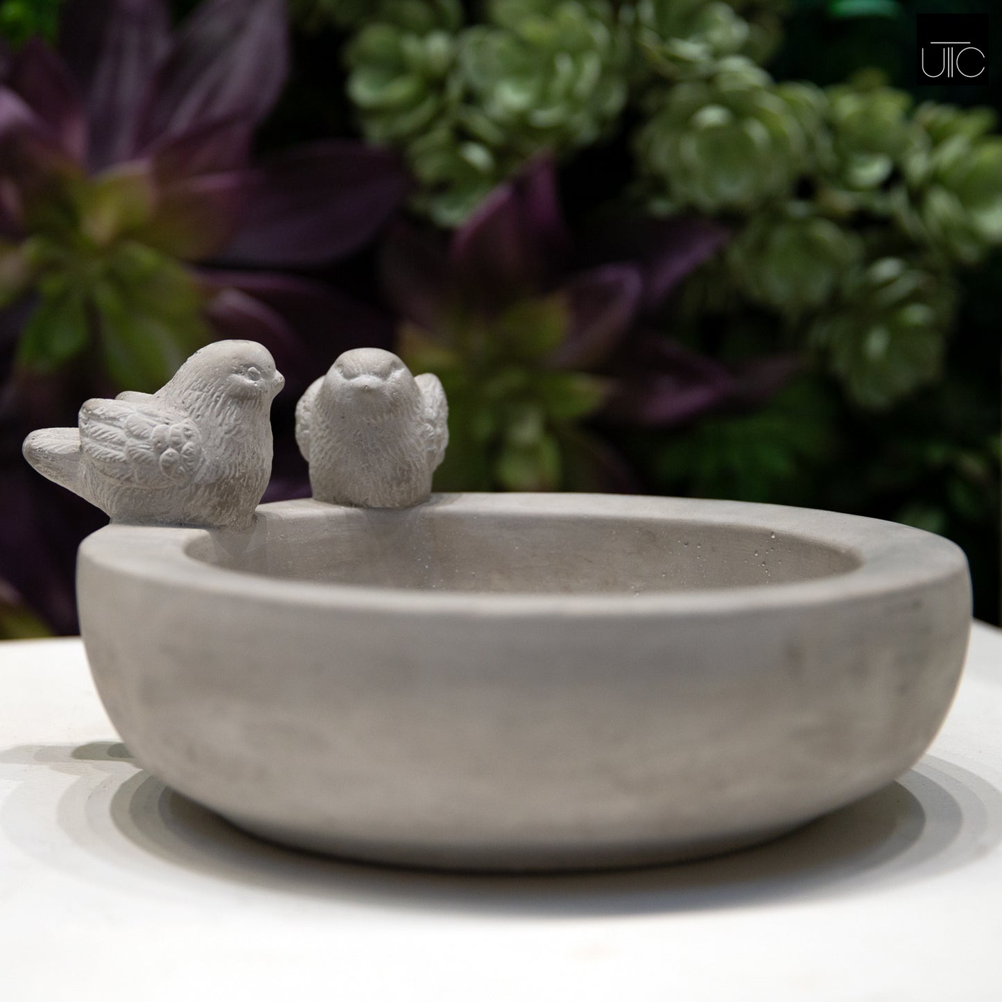 Leia Bird Bath Round Cement Figurine