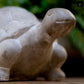 Rumi Terracotta Turtle Figurine
