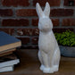 Marix Distressed Terracotta Rabbit Figurine