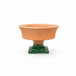 Terracotta pedestal bowl with green base on a white background