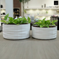 Mylana Textured Cylindrical Ceramic Planter (Set of 2)