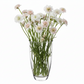 Clear glass vase with white and pink flowers on a white background