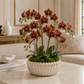 Shams Ribbed Ceramic Bowl