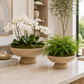Alexandra Pedestal Ceramic Bowl Planter