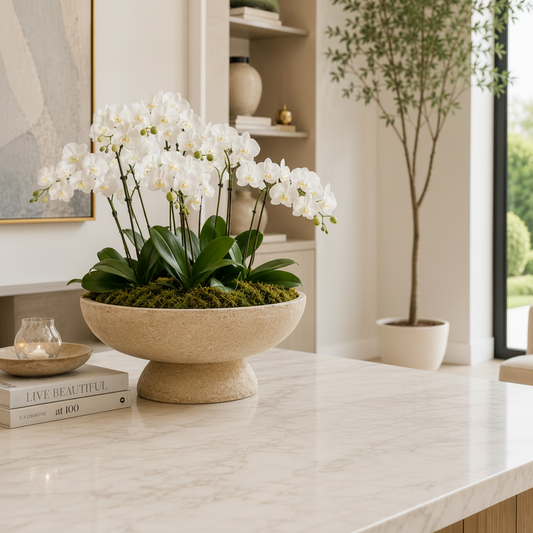 Alexandra Pedestal Ceramic Bowl Planter