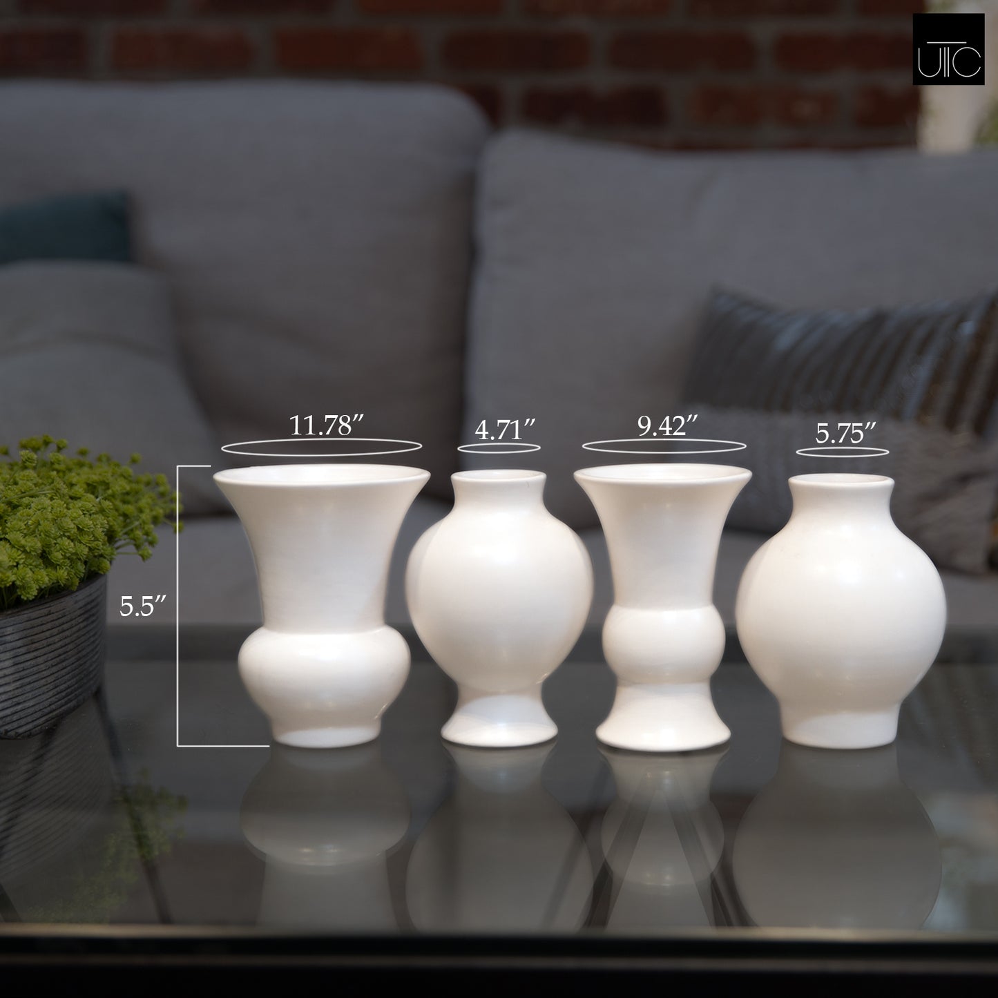 Novara Bellied Vase Quartet