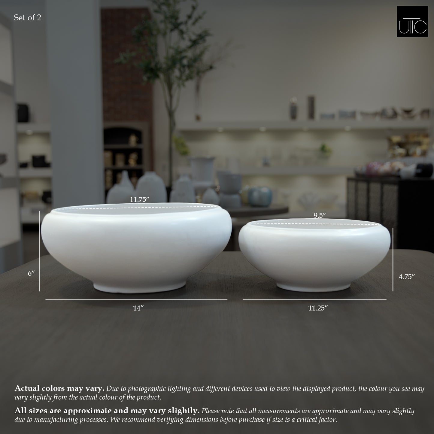 Valeriya Shallow Ceramic Planter Set (Set of 2)