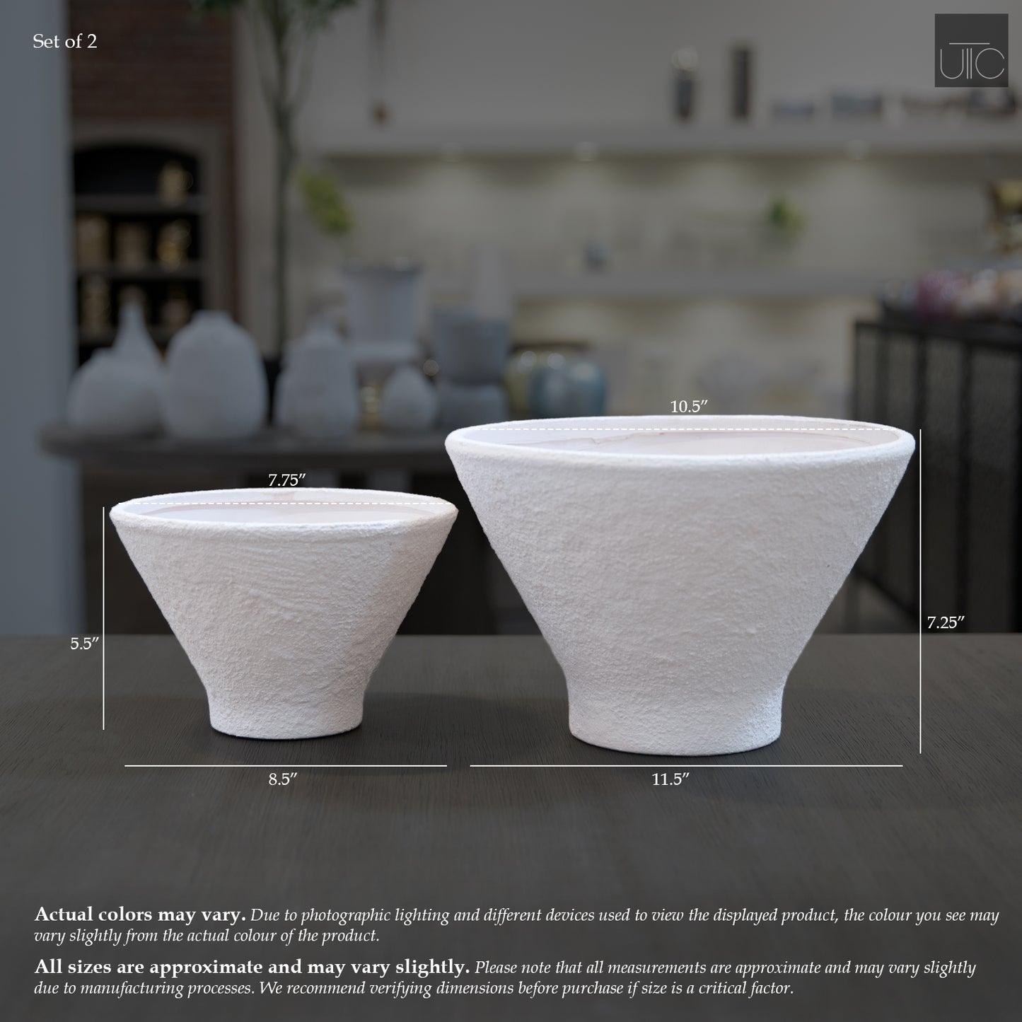 Sina Flared Cone Planter Set (Set of 2)
