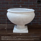 Nixie Classical Urn Bowl Planter with Pedestal Base