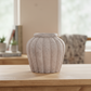 Petunia Terracotta Pot