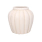 Petunia Terracotta Pot