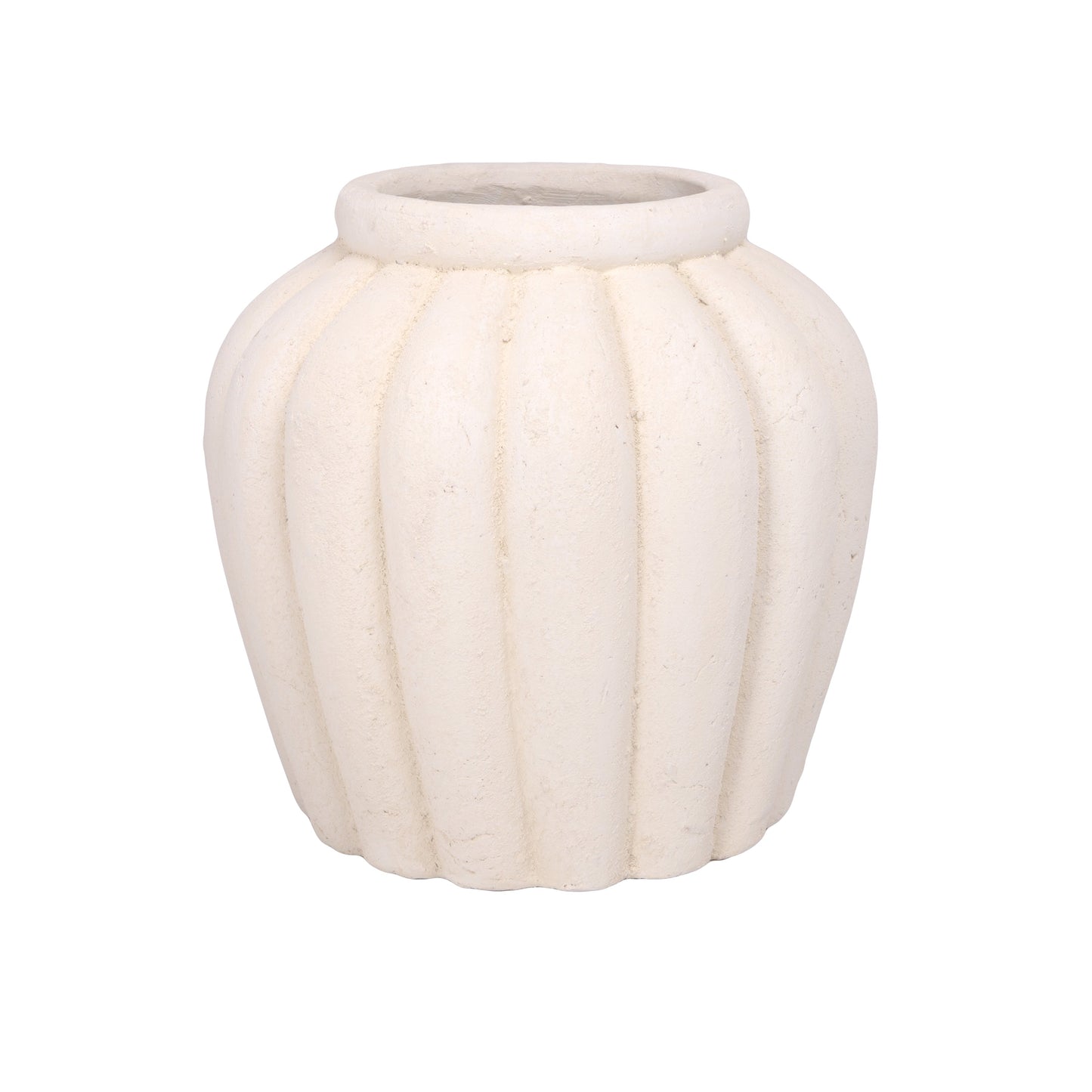 Petunia Terracotta Pot