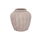 Petunia Terracotta Pot