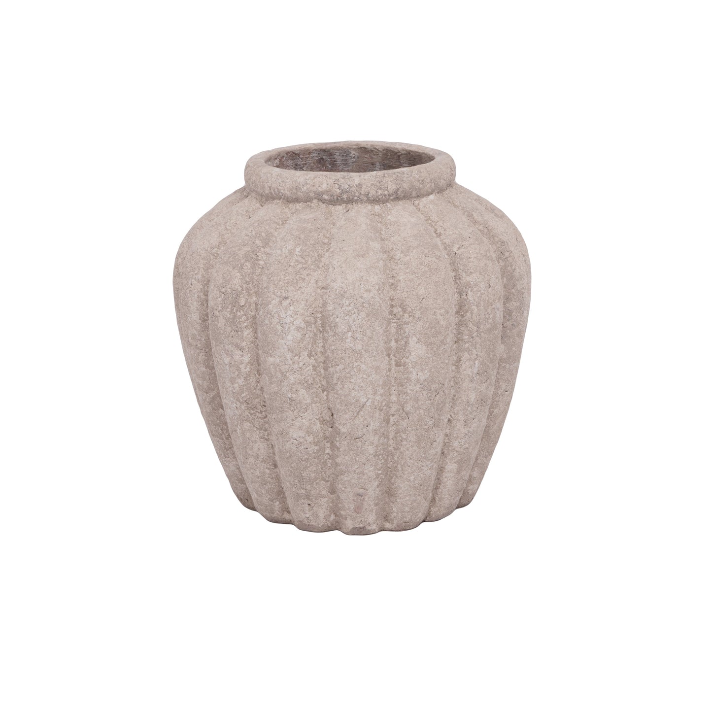 Petunia Terracotta Pot