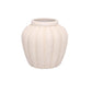 Petunia Terracotta Pot