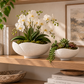 Adaline Organic Petal Bowl Set (Set of 2)